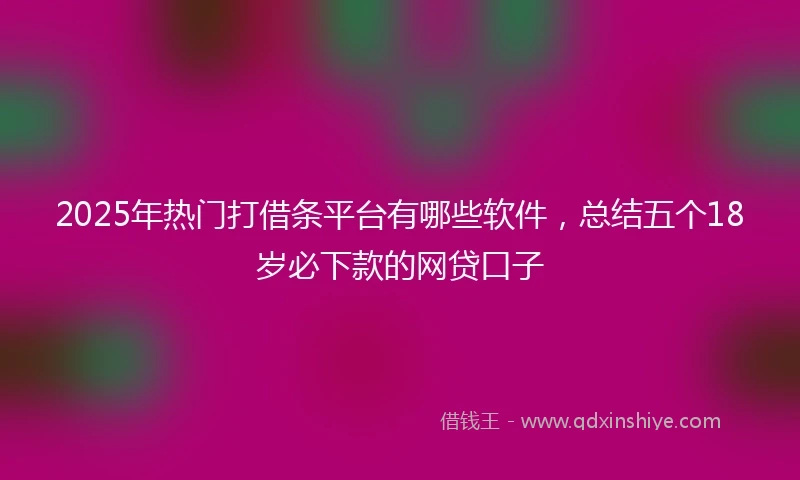2025年热门打借条平台有哪些软件，总结五个18岁必下款的网贷口子