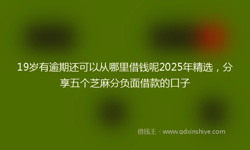 19岁有逾期还可以从哪里借钱呢2025年精选，分享五个芝麻分负面借款的口子