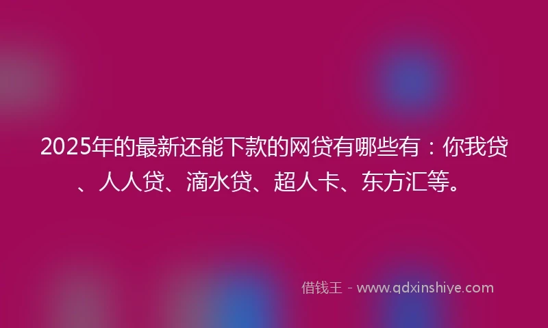 2025年的最新还能下款的网贷有哪些有：你我贷、人人贷、滴水贷、超人卡、东方汇等。