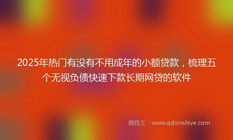 2025年热门有没有不用成年的小额贷款，梳理五个无视负债快速下款长期网贷的软件