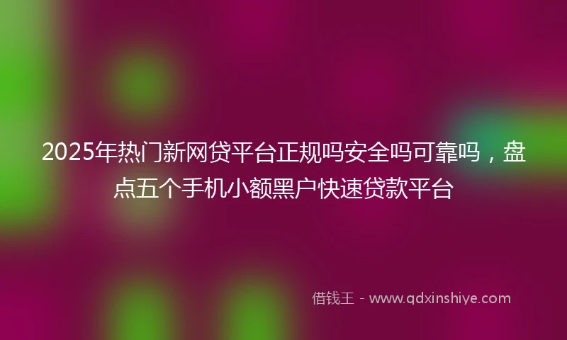 2025年热门新网贷平台正规吗安全吗可靠吗，盘点五个手机小额黑户快速贷款平台
