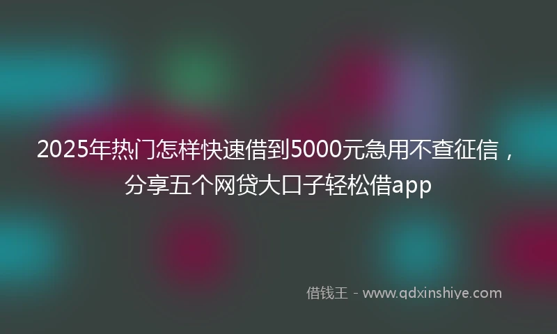 2025年热门怎样快速借到5000元急用不查征信，分享五个网贷大口子轻松借app