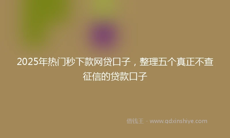 2025年热门秒下款网贷口子，整理五个真正不查征信的贷款口子