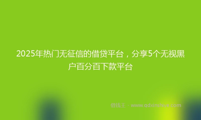 2025年热门无征信的借贷平台，分享5个无视黑户百分百下款平台