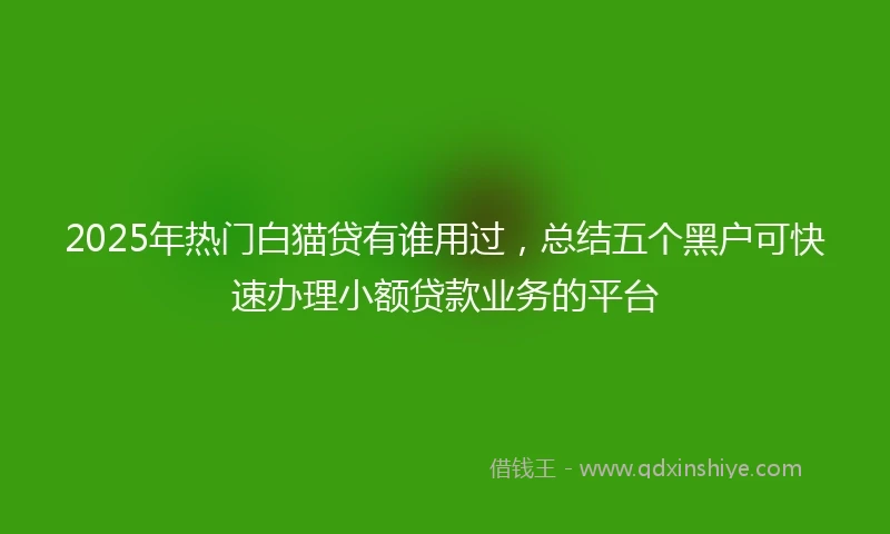 2025年热门白猫贷有谁用过，总结五个黑户可快速办理小额贷款业务的平台
