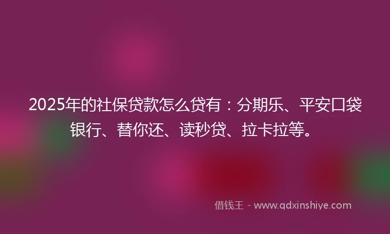 2025年的社保贷款怎么贷有:分期乐、平安口袋银行、替你还、读秒贷、拉卡拉等。