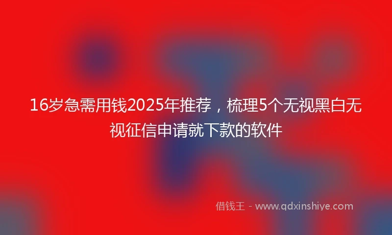 16岁急需用钱2025年推荐，梳理5个无视黑白无视征信申请就下款的软件
