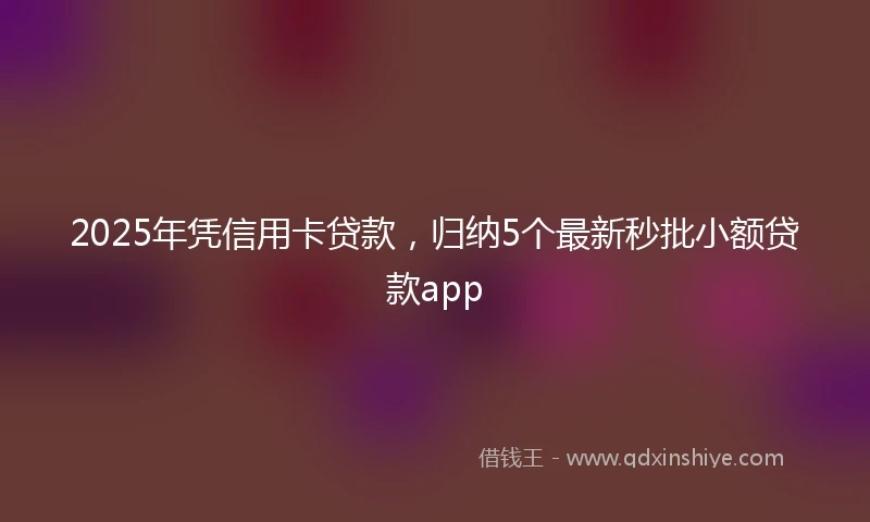 2025年凭信用卡贷款，归纳5个最新秒批小额贷款app