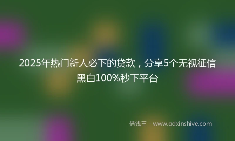 2025年热门新人必下的贷款，分享5个无视征信黑白100%秒下平台