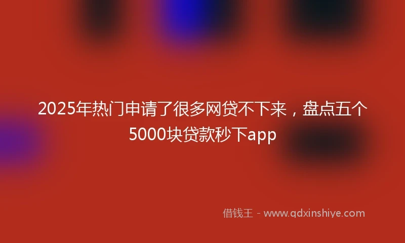 2025年热门申请了很多网贷不下来，盘点五个5000块贷款秒下app