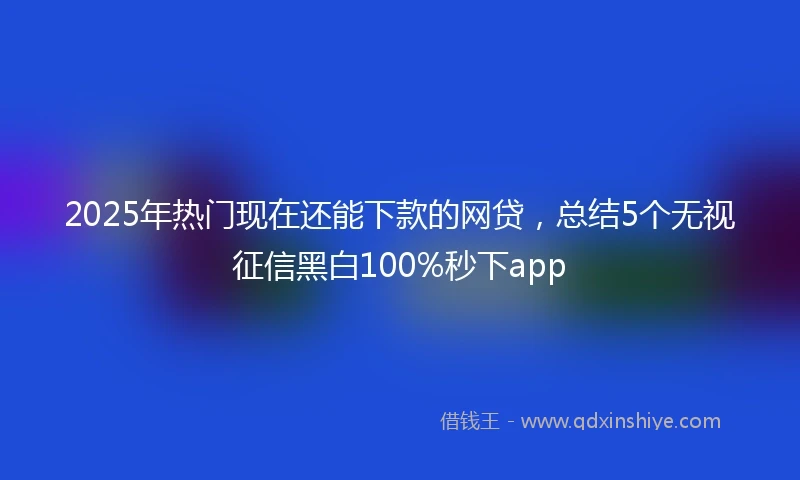 2025年热门现在还能下款的网贷,总结5个无视征信黑白100%秒下app