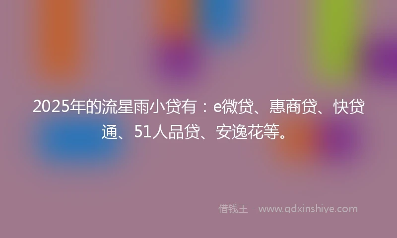 2025年的流星雨小贷有：e微贷、惠商贷、快贷通、51人品贷、安逸花等。