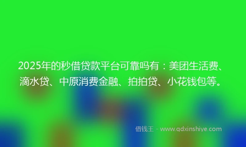 2025年的秒借贷款平台可靠吗有：美团生活费、滴水贷、中原消费金融、拍拍贷、小花钱包等。