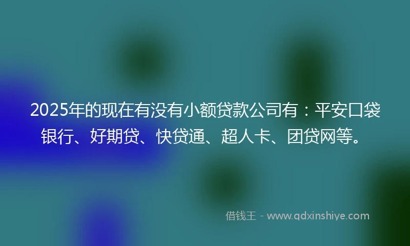 2025年的现在有没有小额贷款公司有:平安口袋银行、好期贷、快贷通、超人卡、团贷网等。
