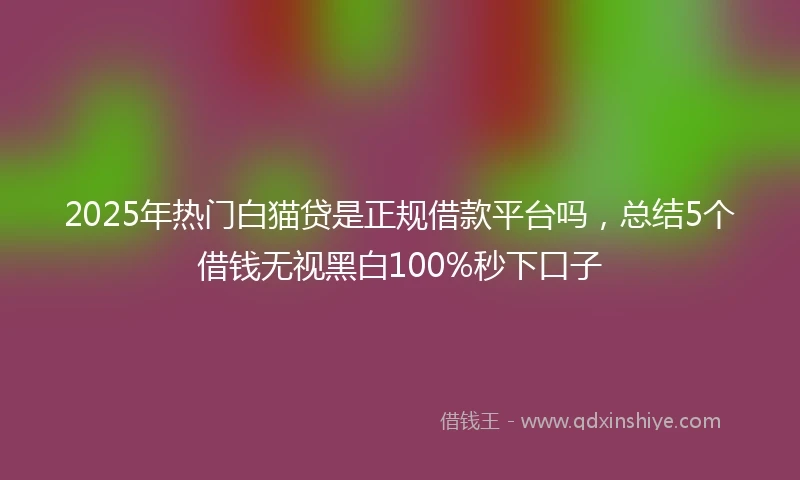 2025年热门白猫贷是正规借款平台吗，总结5个借钱无视黑白100%秒下口子
