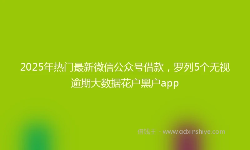 2025年热门最新微信公众号借款，罗列5个无视逾期大数据花户黑户app