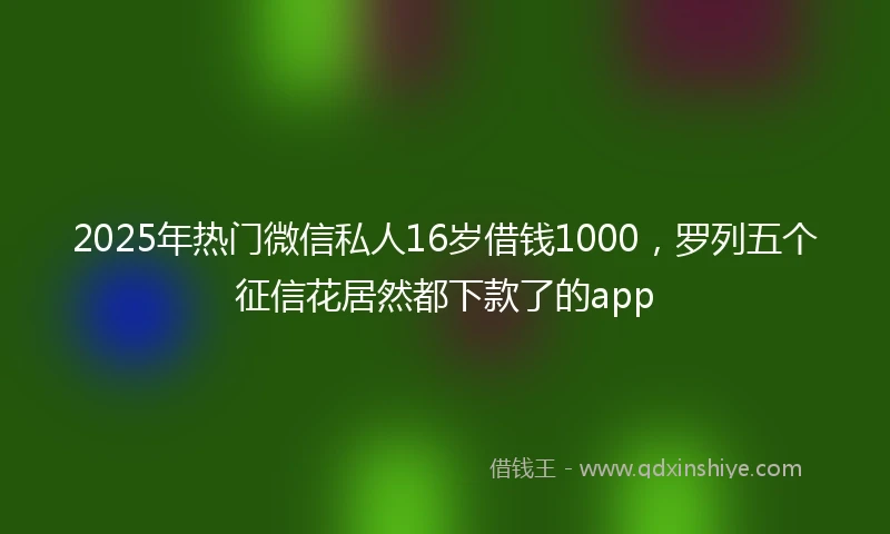2025年热门微信私人16岁借钱1000，罗列五个征信花居然都下款了的app