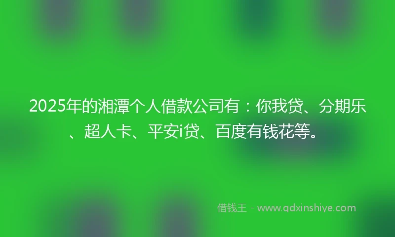 2025年的湘潭个人借款公司有：你我贷、分期乐、超人卡、平安i贷、百度有钱花等。