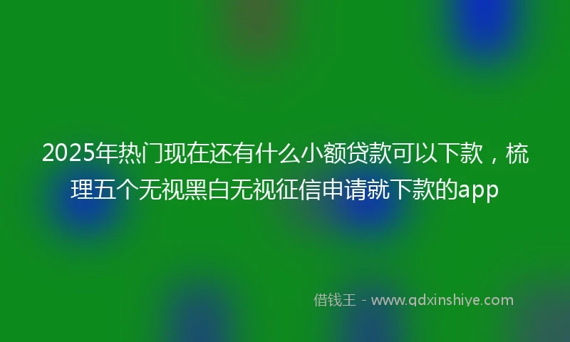 2025年热门现在还有什么小额贷款可以下款，梳理五个无视黑白无视征信申请就下款的app