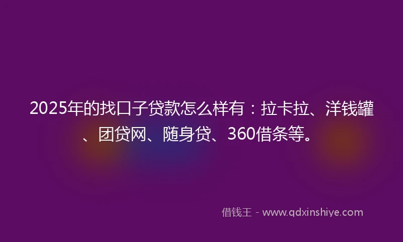 2025年的找口子贷款怎么样有：拉卡拉、洋钱罐、团贷网、随身贷、360借条等。