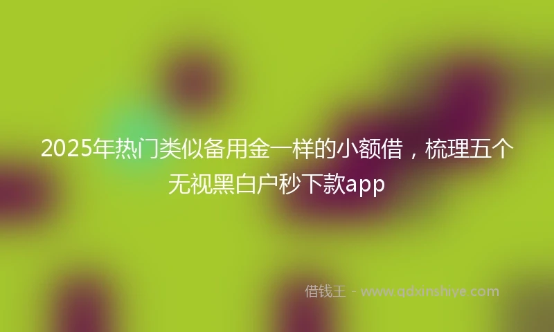 2025年热门类似备用金一样的小额借，梳理五个无视黑白户秒下款app