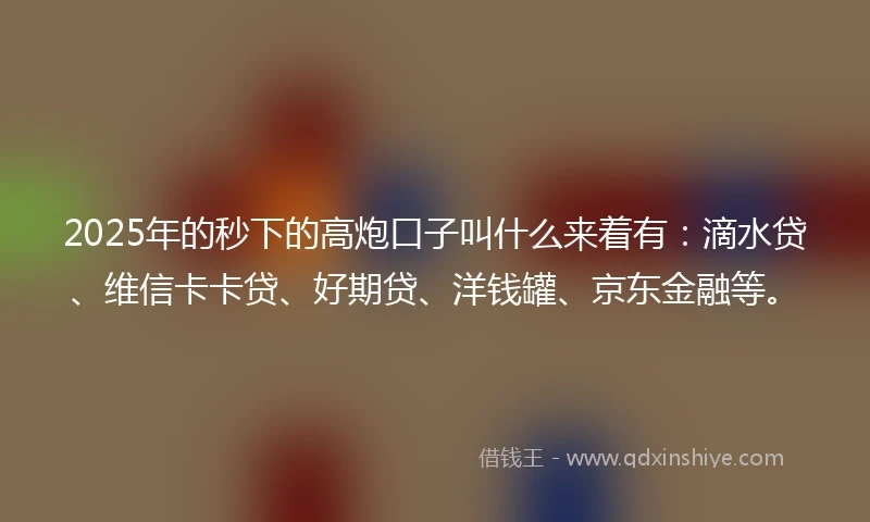 2025年的秒下的高炮口子叫什么来着有：滴水贷、维信卡卡贷、好期贷、洋钱罐、京东金融等。