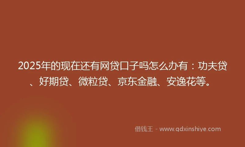 2025年的现在还有网贷口子吗怎么办有：功夫贷、好期贷、微粒贷、京东金融、安逸花等。