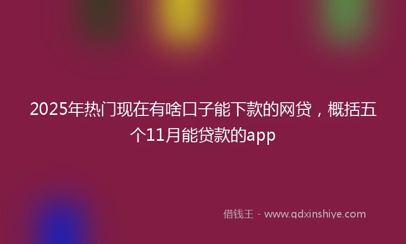 2025年热门现在有啥口子能下款的网贷，概括五个11月能贷款的app