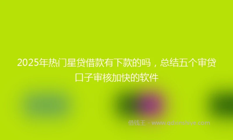 2025年热门星贷借款有下款的吗，总结五个审贷口子审核加快的软件