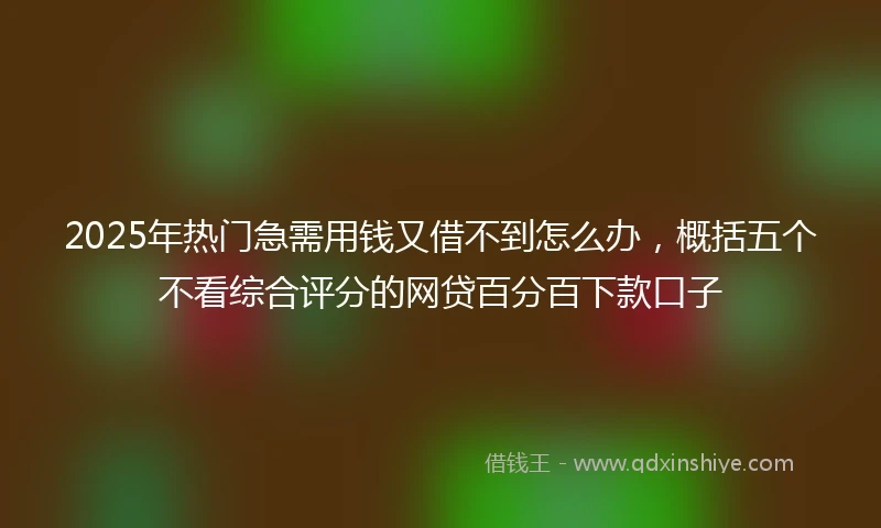 2025年热门急需用钱又借不到怎么办，概括五个不看综合评分的网贷百分百下款口子