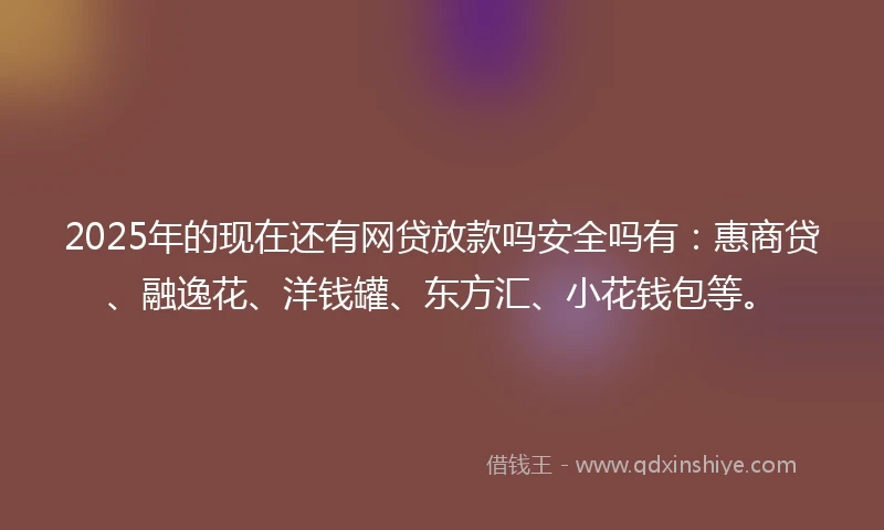 2025年的现在还有网贷放款吗安全吗有：惠商贷、融逸花、洋钱罐、东方汇、小花钱包等。