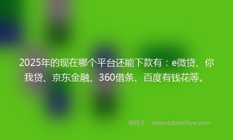 2025年的现在哪个平台还能下款有：e微贷、你我贷、京东金融、360借条、百度有钱花等。