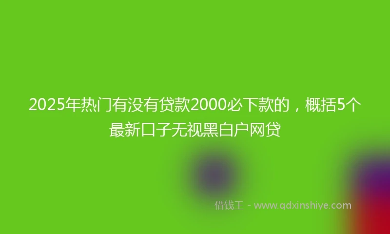 2025年热门有没有贷款2000必下款的，概括5个最新口子无视黑白户网贷