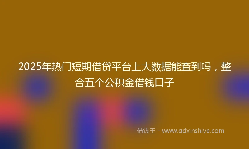 2025年热门短期借贷平台上大数据能查到吗，整合五个公积金借钱口子