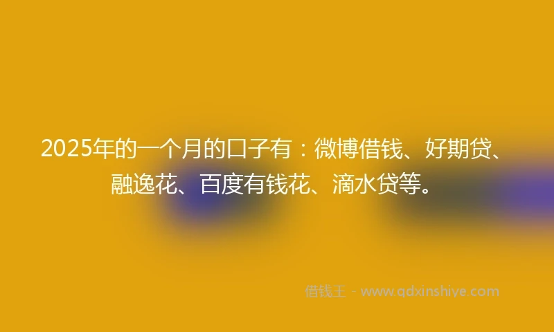 2025年的一个月的口子有：微博借钱、好期贷、融逸花、百度有钱花、滴水贷等。