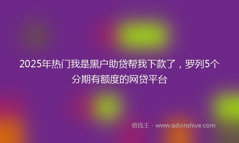 2025年热门我是黑户助贷帮我下款了，罗列5个分期有额度的网贷平台