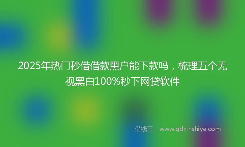 2025年热门秒借借款黑户能下款吗，梳理五个无视黑白100%秒下网贷软件