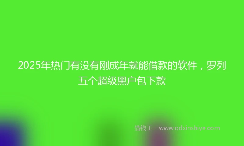 2025年热门有没有刚成年就能借款的软件，罗列五个超级黑户包下款