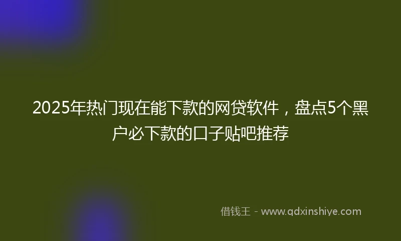 2025年热门现在能下款的网贷软件，盘点5个黑户必下款的口子贴吧推荐