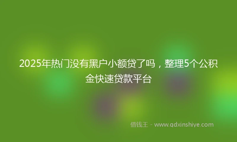 2025年热门没有黑户小额贷了吗，整理5个公积金快速贷款平台