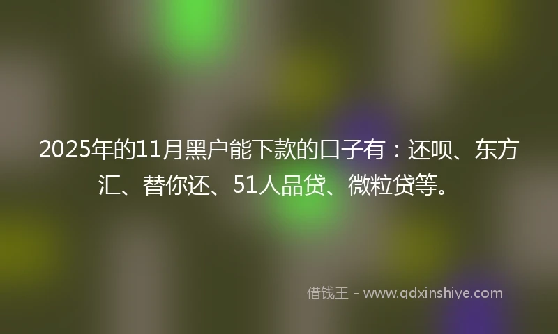 2025年的11月黑户能下款的口子有：还呗、东方汇、替你还、51人品贷、微粒贷等。
