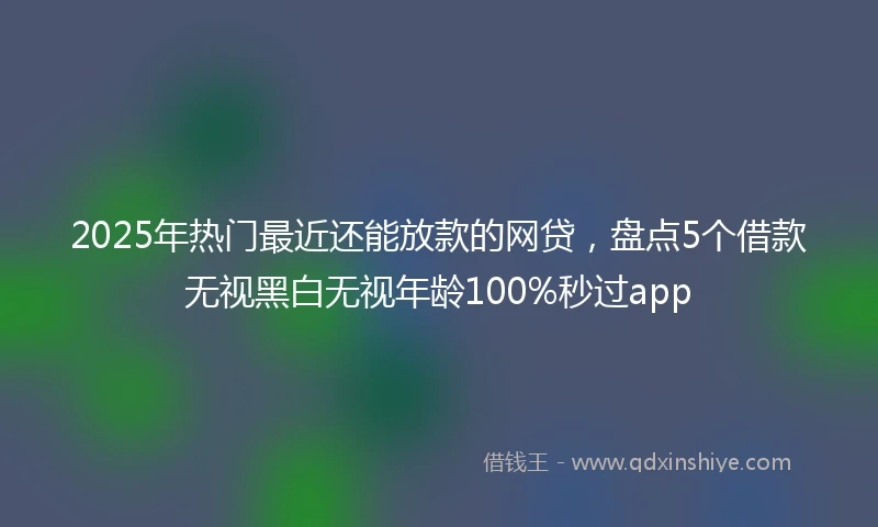 2025年热门最近还能放款的网贷，盘点5个借款无视黑白无视年龄100%秒过app