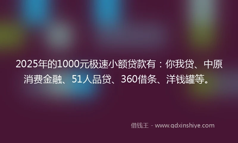 2025年的1000元极速小额贷款有：你我贷、中原消费金融、51人品贷、360借条、洋钱罐等。