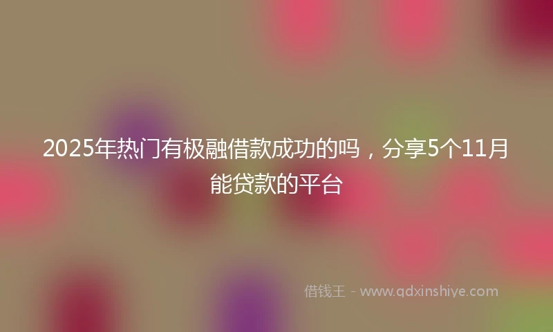 2025年热门有极融借款成功的吗，分享5个11月能贷款的平台