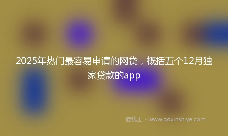 2025年热门最容易申请的网贷，概括五个12月独家贷款的app