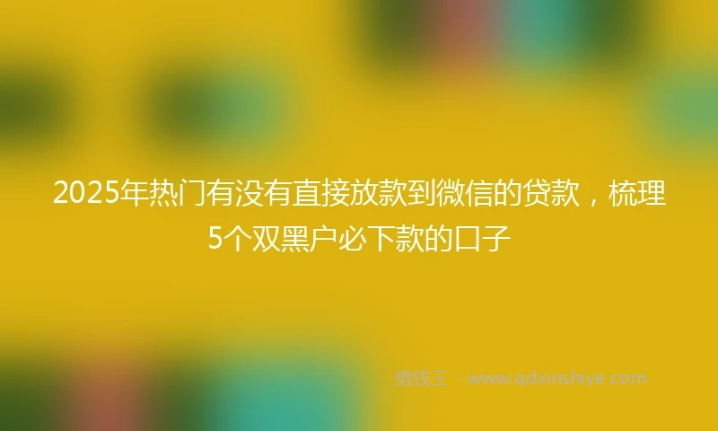 2025年热门有没有直接放款到微信的贷款，梳理5个双黑户必下款的口子