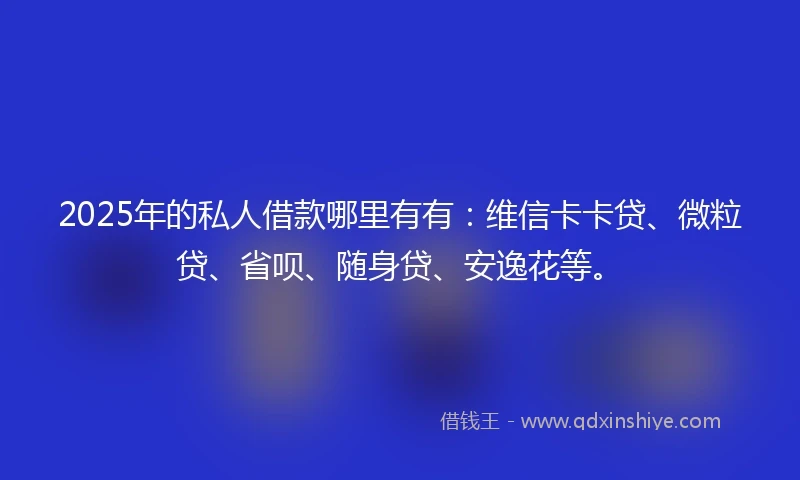 2025年的私人借款哪里有有：维信卡卡贷、微粒贷、省呗、随身贷、安逸花等。