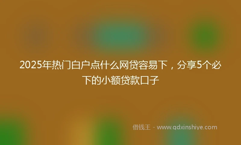 2025年热门白户点什么网贷容易下，分享5个必下的小额贷款口子