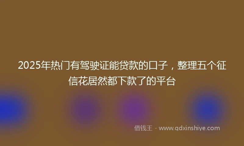 2025年热门有驾驶证能贷款的口子，整理五个征信花居然都下款了的平台