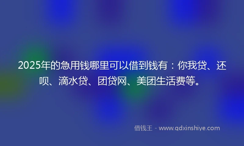 2025年的急用钱哪里可以借到钱有：你我贷、还呗、滴水贷、团贷网、美团生活费等。